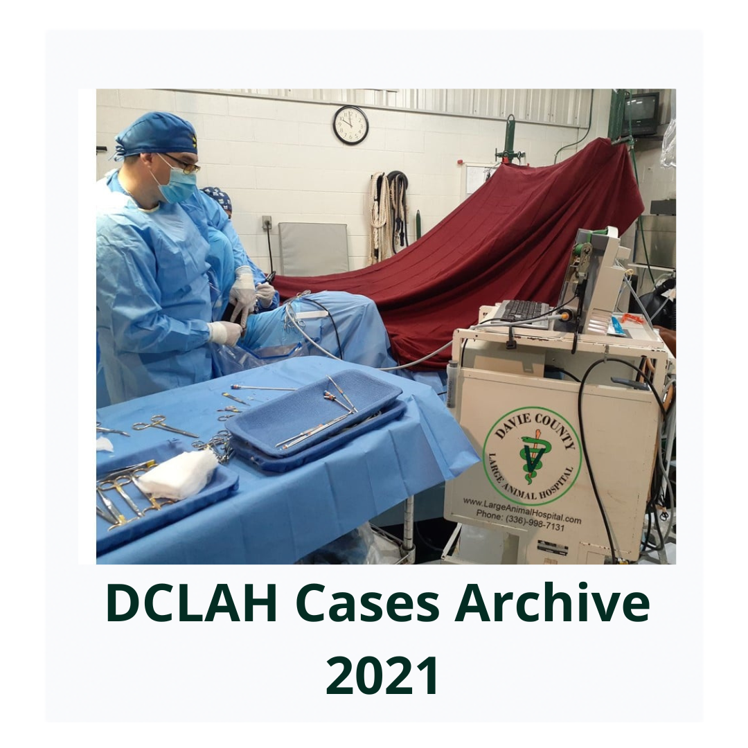 DCLAHCasesArchive2021Cover  