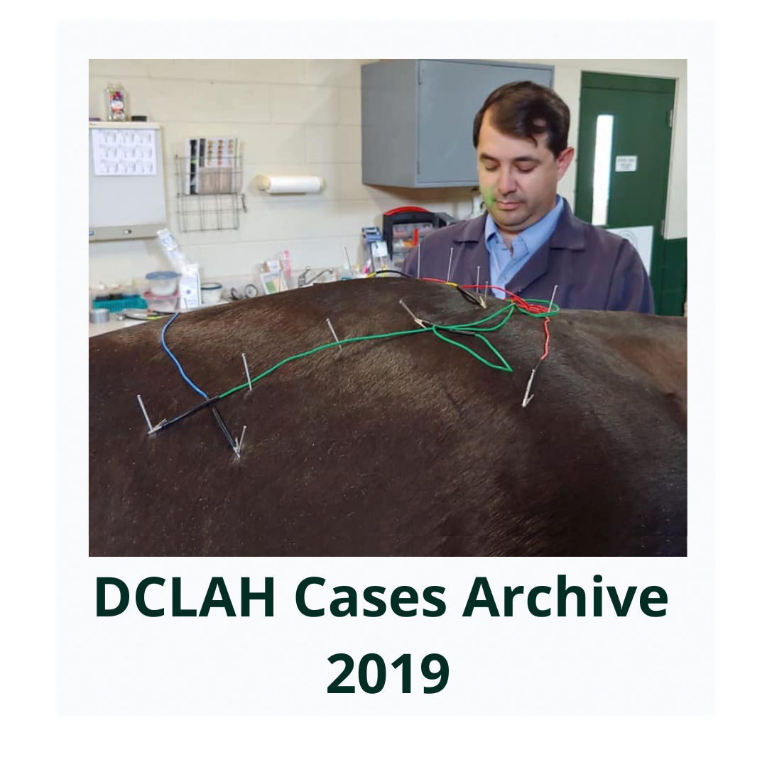 DCLAHCasesArchive2019Cover  