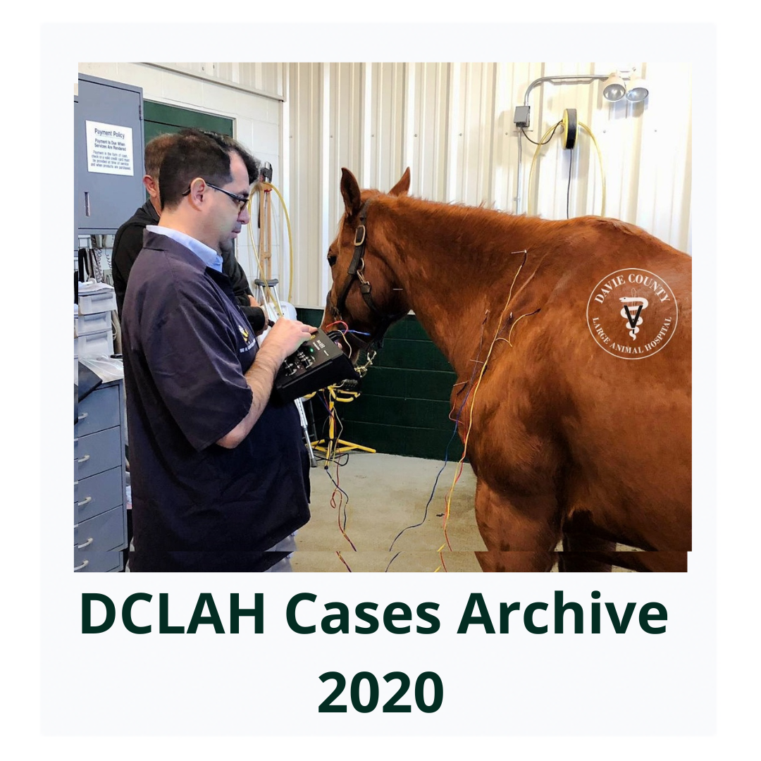 DCLAHCasesArchive2020Cover