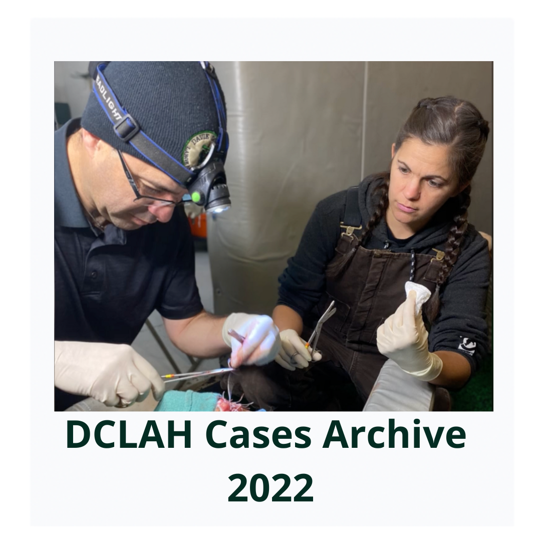 DCLAHCasesArchive2022Cover  