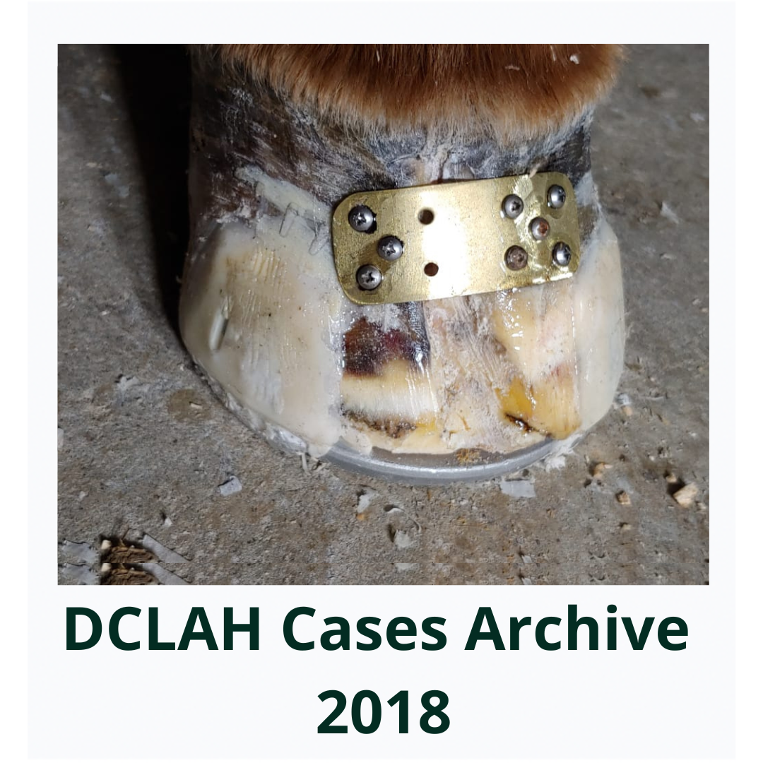 DCLAHCasesArchive2018Cover